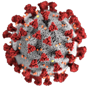 Corona CoVID-19 Virus; Picture CDC, Public Domain